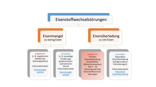 Matrix Eisenstoffwechselstörungen-neu