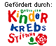Logo DKS